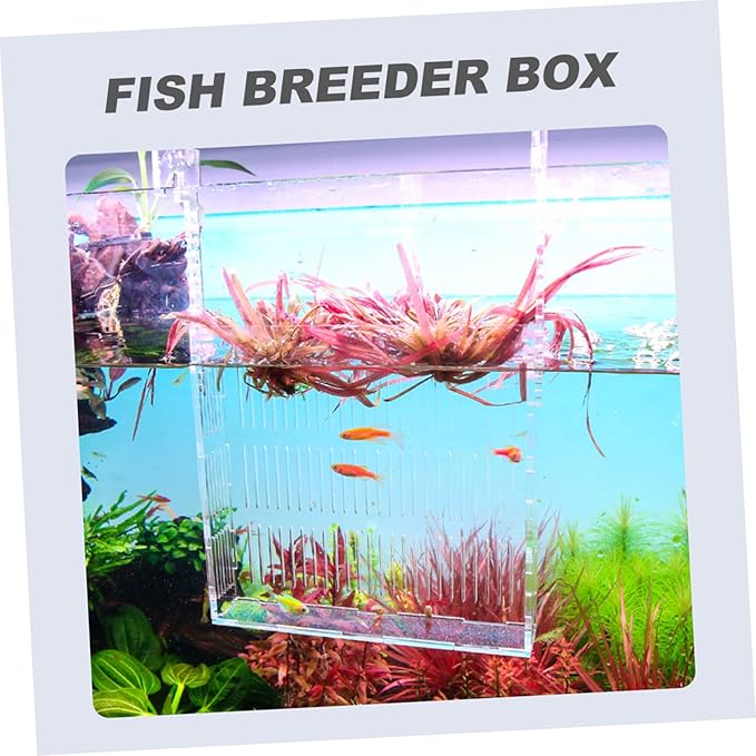 BESPORTBLE Hanging Fish Breeding Box Mini Acrylic Incubator for Guppy Betta Fish Planting Holes Aquatic Habitat Separator