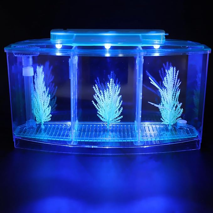 Rengue Fish Breeder Box for Aquarium TripleChamber Fish Breeder Box for Aquarium, Transparent LED Acrylic Small Fishes Breeding Isolation for, Transparent LED Acrylic (Blue)