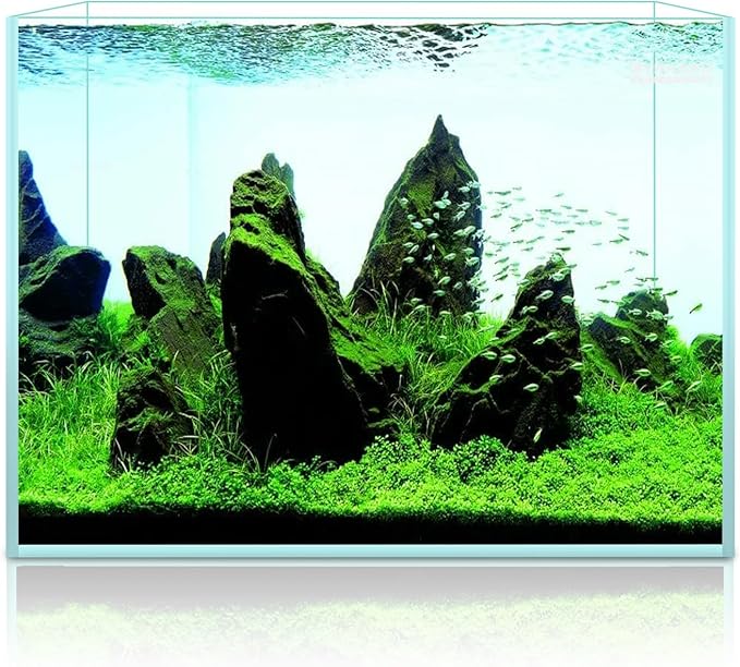 LYPHARD AQUARIUMS 2.9 Gallon Rimless Aquarium, Ultra Clear Glass Low Iron Aquarium Tank, Small Fish Tank for Betta, L11.8×W5.9×H9.8 Inches Thickness 5mm with EVA Foam Mat Included