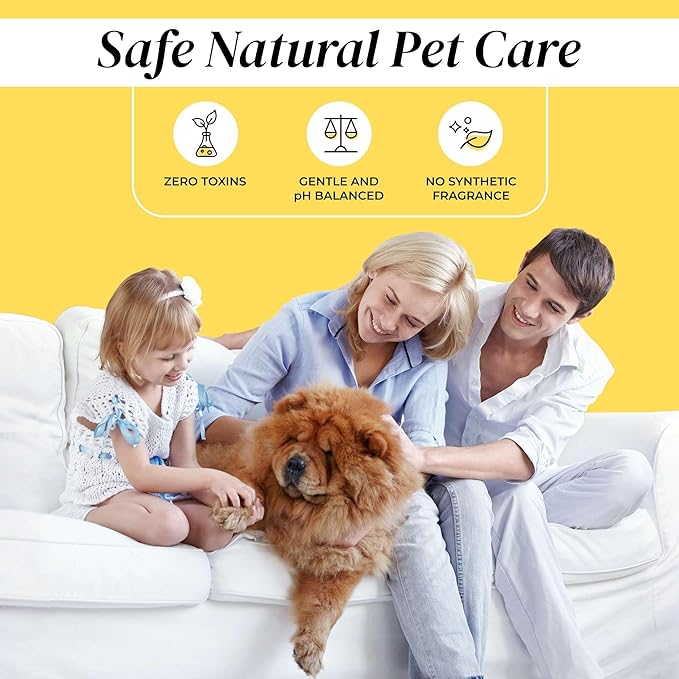 Heavenly Dog Shampoo & Body Wash - Anti-Itch - Dog Shampoos - pH Balanced Conditioning Dog Bath Blend with Collagen, Aloe, Coconut Milk, Vitamin E - Soothe Itchy Skin & Coat - 13.5oz