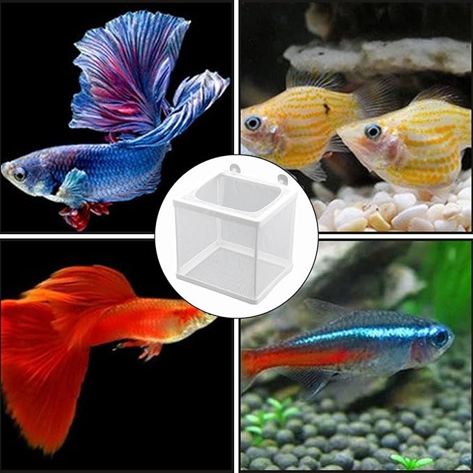 2 Pack Fish Breeder Box for Aquarium,Breeder Box for Fish Tank,Breeding Box for Fish Tank,for Aquarium Juvenile Fishes Separation Net Fry Hatchery with Suction Cups