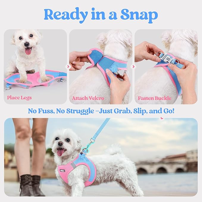 rabbitgoo Dog Harness Small Sized and Leash Set, Step in Soft Light Puppy Vest, Breathable Mesh Pet Harness, Reflective for Safe Easy Walking, Blue & Light Pink XS