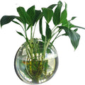 Wall Fish Bowl, Small Hanging Goldfish Fish Tanks, Clear Acrylic Betta Fish Tank, for Aquarium Wall Plant Pot Decoration Planter Flower