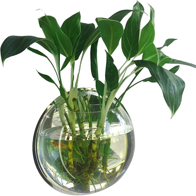 Wall Fish Bowl, Small Hanging Goldfish Fish Tanks, Clear Acrylic Betta Fish Tank, for Aquarium Wall Plant Pot Decoration Planter Flower
