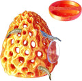 Shrimp Dome Hide, Shrimp Hides for Aquarium, Betta Fish Hideout with Suction Cup, Betta Habitat Tank Ornament Accessories, Aquarium Decor for Small Fish Guppy Hiding Resting (Lid Gold Red)