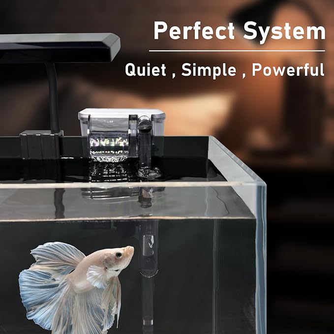 Betta Fish Tank, 2.5 Gallon Nano Nature Aquarium Starter Kit, Ultra-Clear Rimless Desktop Fish Tank with Light, Filter, Gravel and Rock, Aquarium Perfect for Small Fishes, Black