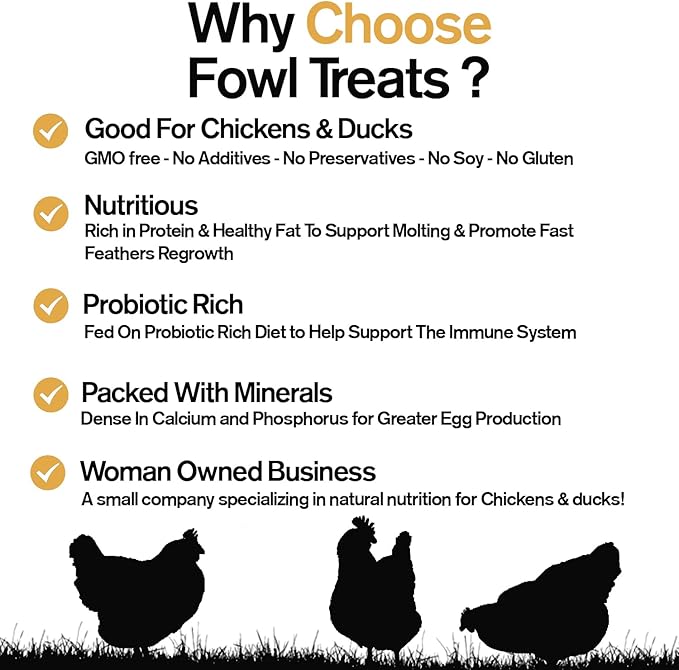 Naturally Fortified Chick Chow - Naturally Fortified Supplemental Nutrition Suitable for Chicks, Contains USA Grown Ingredients – 8oz