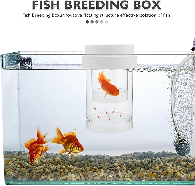 BESPORTBLE Small Floating Fish Breeding Box with Fine and Coarse Mesh Nets, Isolation Incubator Tank for Aquarium Fry and Shrimp Hatchery, White Set Suitable for Guppy and Betta Breeders