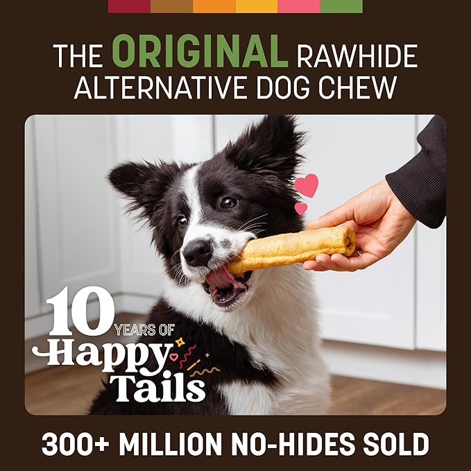 Earth Animal No Hide Chews - Long Lasting Rawhide Free Medium Dog Chews Rolls, Pork - 2 Count