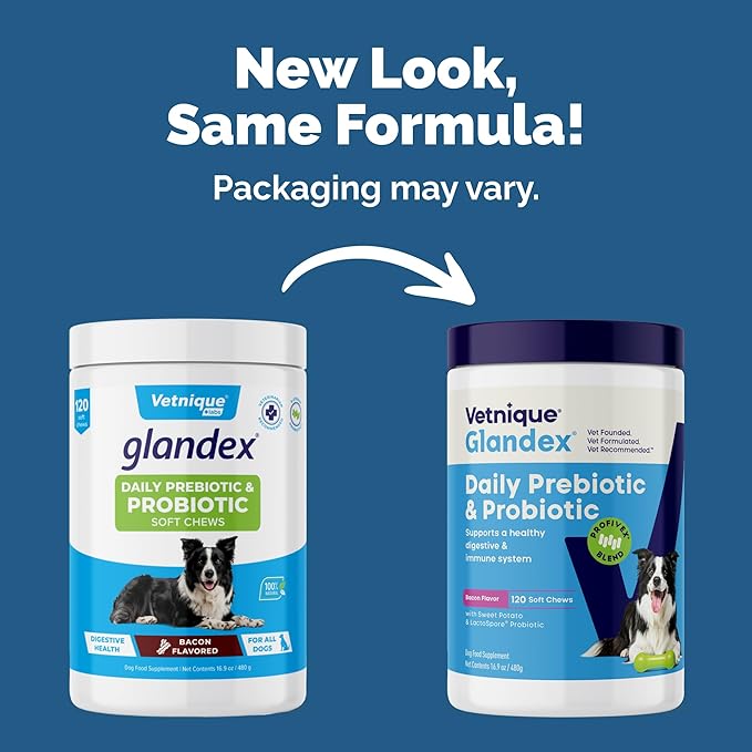 Vetnique Glandex Daily Probiotics for Dogs with Prebiotics to Support Gut Health with Fiber and Digestive Enzymes, Dog Probiotic Chews or Powders (120ct Chews, Bacon Chews)