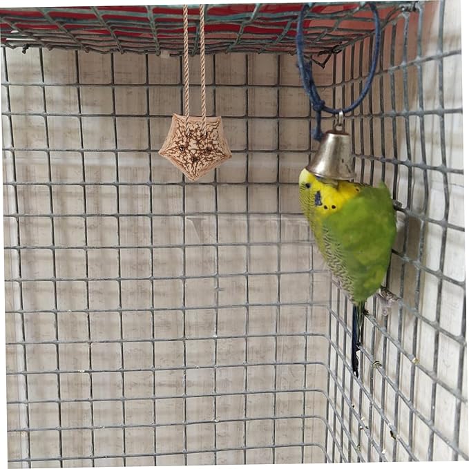 12pcs Parrot Beak Fruit Chewing Treats Bird Toys for Parrots Foraging Toy for Conure
