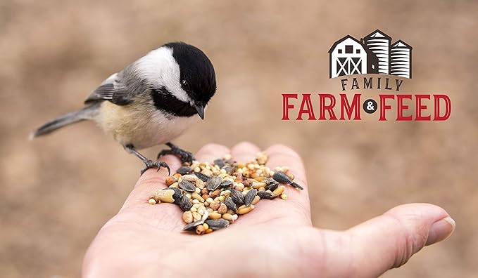 | Four Season | City Blend | Fancy Wild Bird Food | Backyard Songbird| 4 Pounds