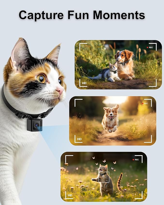 Cat Camera Collar 1080P HD Video Recording Pet POV Cam, NO WiFi NO APP, Mini Action Cameras for Cats/Dogs Tracking(No Micro-SD Card Included)