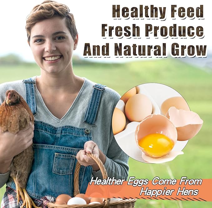 5LBS Black Soldier Fly Larvae for Chickens - Premium Dried BSFL Treats with 52% Protein & Calcium Boost - Superior Alternative to Mealworms - Resealable Bulk Bag for Hens & Bluebirds