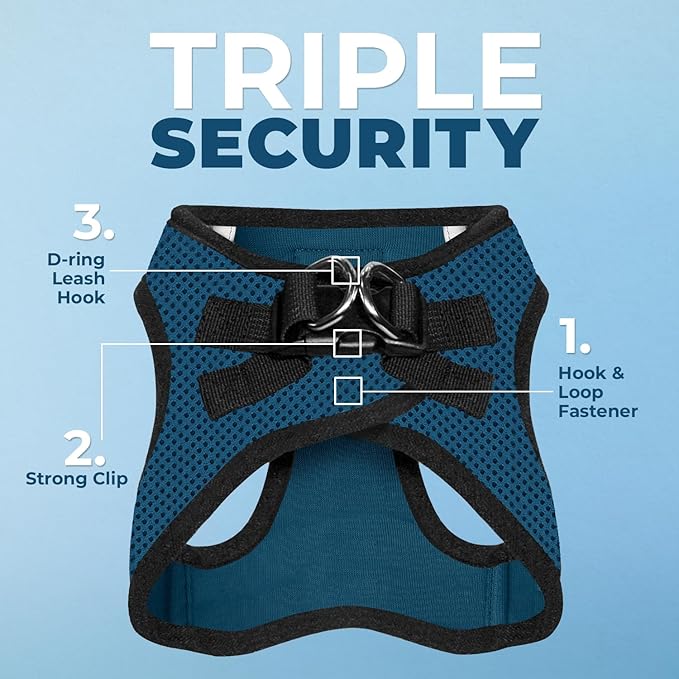 Best Pet Supplies Voyager Step-in Air Harness - All Weather Mesh, Reflective, No Pull Harness for Dogs, Cats - Secure with Hook & Loop Fastener, Buckle, Double D-Rings - Blue/Black Trim, XXS