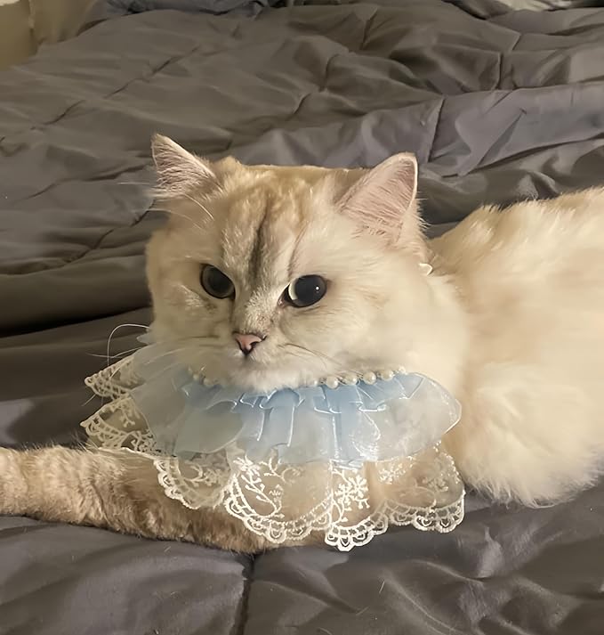 Cat Lace Bandana, Cat Tutu Collar with Pearl Princess Costume for Small Dog Bunny Wedding Birthday Party Holiday Decoration, Blue S 7.5"-10"
