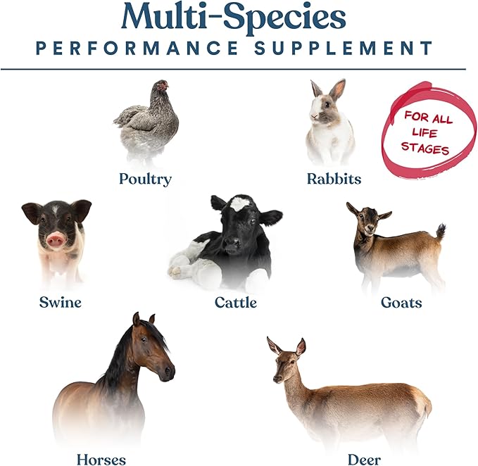 Manna Pro Calf-Manna, Multi-Species Performance Supplement for Livestock, Poultry, Cattle, Goats, Rabbits, Swine, Horses & Deer, High-Protein Animal Feed Additive for Growth, Weight Gain, 10 lb Bag