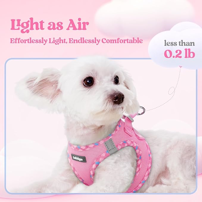 rabbitgoo Dog Harness Small Medium Sized and Leash Set, Step in Soft Light Puppy Vest, Breathable Mesh Pet Harness, Reflective for Safe Easy Walking, Pink & Plaid Trim L