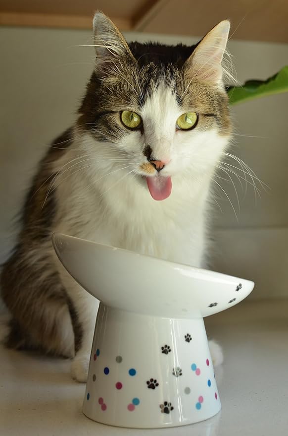 Necoichi Raised Cat Food Bowl – Ceramic Elevated 15° Tilted Cat Bowl for Whisker Fatigue Dishwasher Microwave Safe, Non-Slip Anti Vomiting Design (Colorful Dots, Extra Wide Tilted, 1.5-Cup Capacity)