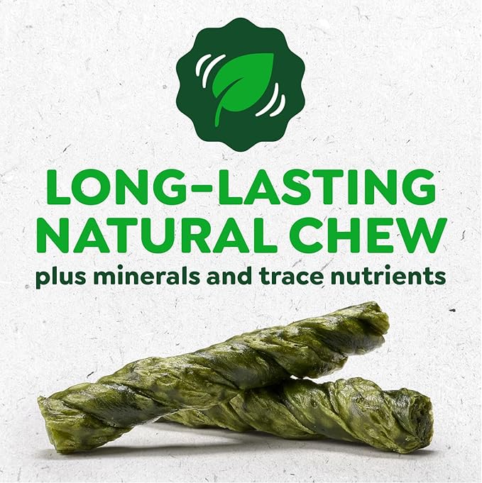 Greenies Occupy Twists Natural Dog Treats Large Breed Size Dog Chews Long Lasting Chicken Flavor, 34.2 oz. Pack, 16 Count