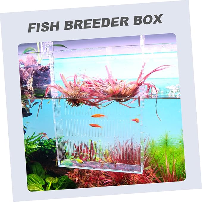 Acrylic Fish Breeding Box for Aquarium Live Pea Fish Tank Divider Incubator Hanging Hook