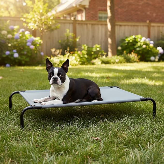 Amazon Basics Cooling Breathable Elevated Dog Bed with Metal Frame for Large Dogs, 51 x 31 x 8 Inch, Grey