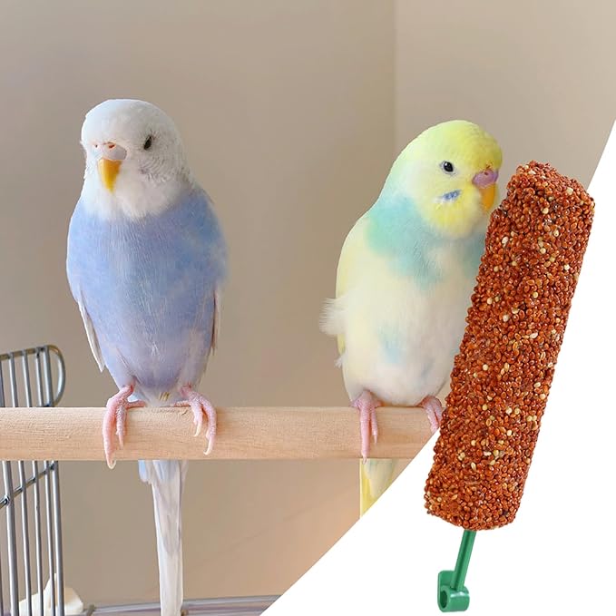Parakeet Treats Sticks - Training and Chewing Bird Snacks for Parakeets, Finches, Conures with Nutrient-Rich | Reward Food for Myna, Parrot, Foraging, Healthy Snack, 2 Pack