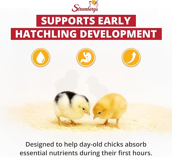 Stromberg's Peck n' Grow, Balanced Hatchling Nutrition Supplement with Probiotics and Essential Vitamins, Instinct-Promoting Chick Starter Formula for Strong Early Growth, 0.28 oz Pack for 100 Chicks