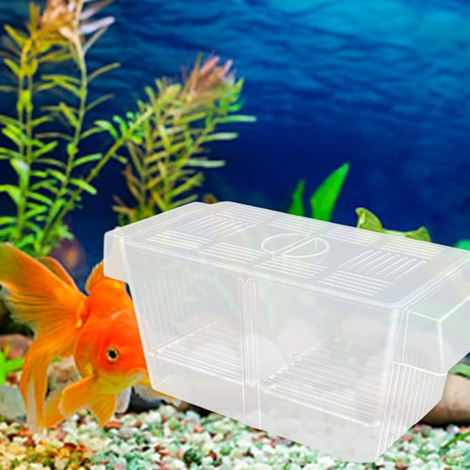 Multiuse Fish Isolation Container Breeding Incubator with Suction Cup 2 Dividers for Aggressive Newborns 2PCS Breeding Tanks