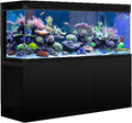 400 Gallon Glass Aquarium with Aluminum Cabinet - Including Sump for Filtration and Circulation, Plumbing, LED, Black