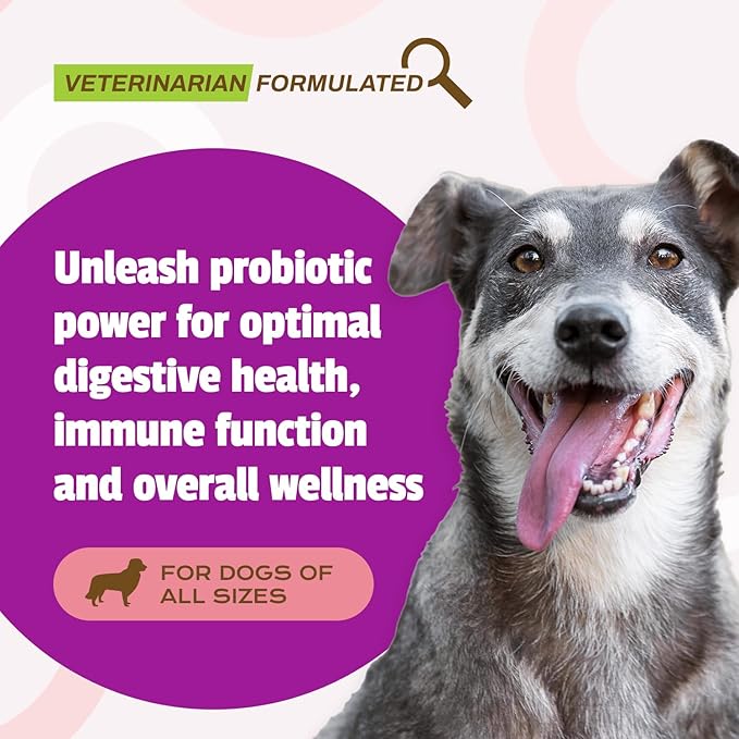 Pet Naturals Probiotics for Dogs – 160 Soft Chews, Dog Probiotic for Digestive & Gut Health Support with 120M CFUs + Prebiotics, Immune Support for Occasional Upset Stomach, Duck Flavor, All Breeds