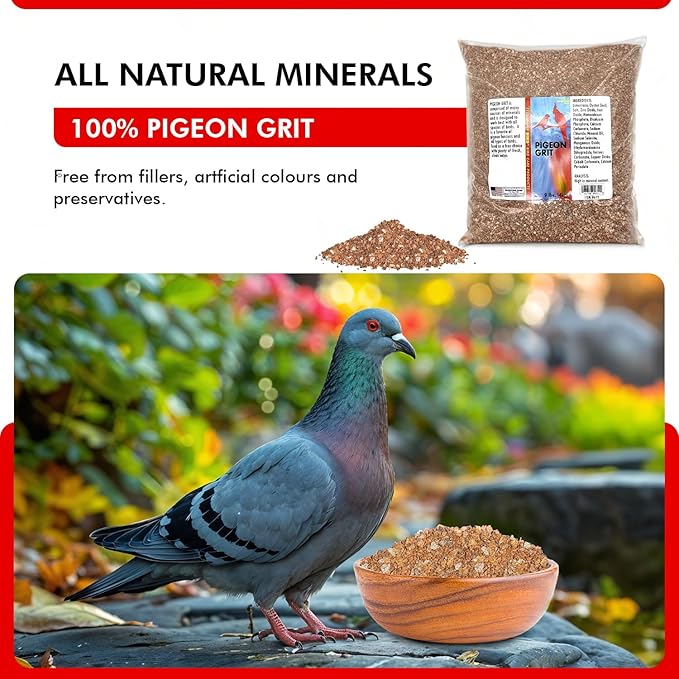 Morning Bird Pigeon Grit - Healthy & Nutritious Pigeon Food to Support Strong Muscles & Bones for Grit Eating Birds - Supports Digestion & Packed with Essential Minerals 9 lbs