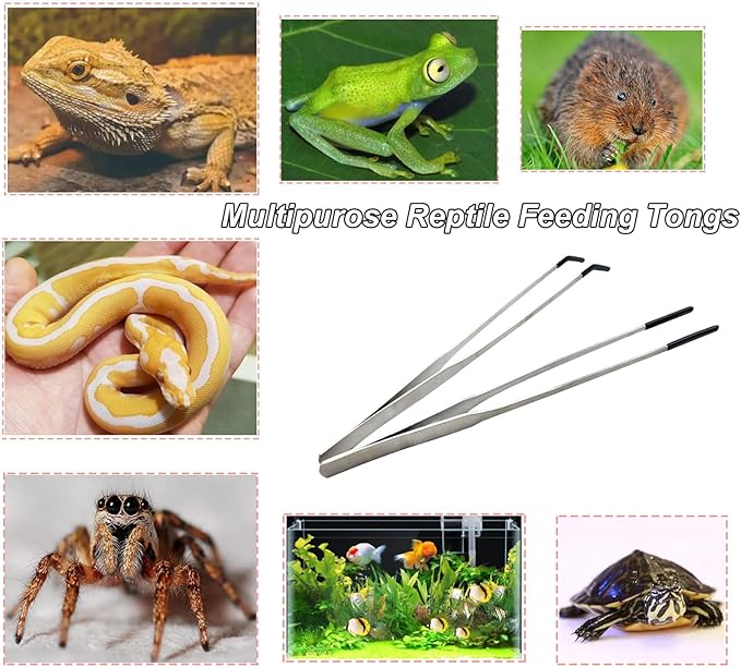 Stainless Steel Straight and Curved Tweezers Aquarium Tweezers with Rubber Tips Long Handle Reptile Feeding Tongs for Fish Tank Aquatic Plants, 2pcs, 10.6 Inch, Silver