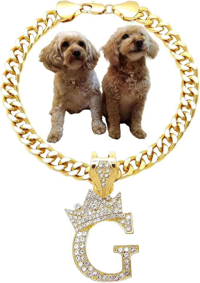 Initial Letter Cuban Chain Dog Chain Pet Chain Pet, Cat, Puppy Necklace (G, 10")