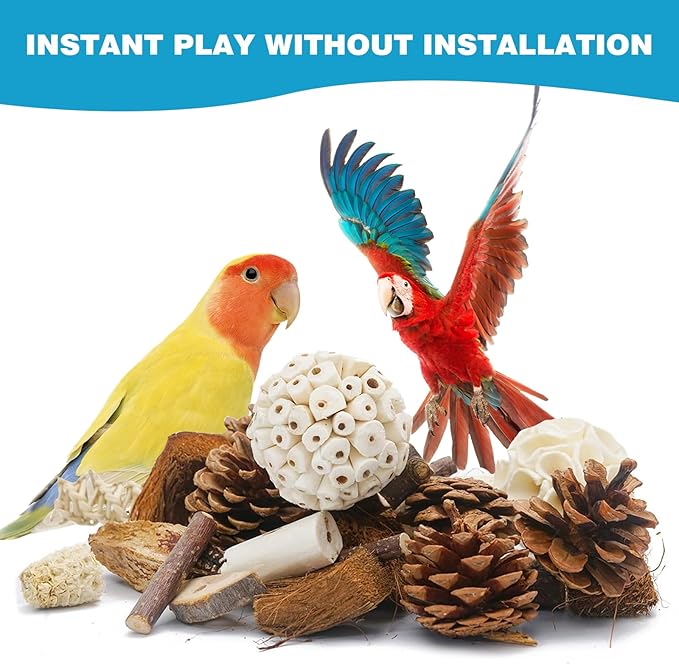 Parrot Toys for Large Bird Toys Natural Bird Foraging Box for Parakeets,Cockatiels,Conures,Love Birds