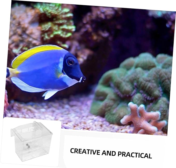 1pc Fish Breeding Isolation Box Pneumatic Design for Freshwater Tanks for Fish and Shrimp Aquarium Incubator for Healthy Hatching Environment