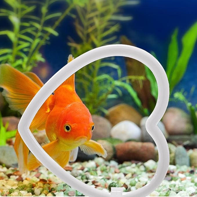 CAIJ 6Pcs Betta Exercise Ring with Suction-Cup, Betta Exercise Ring, Fish Feeding Ring, Aquarium Accessories, Betta Fish Enrichment Toys (Moon & Heart & Round)