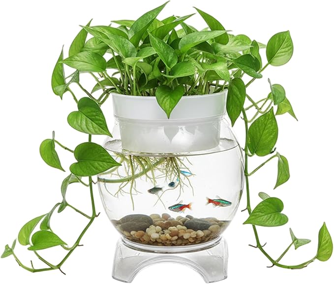 Aquaponic Fish Tank, 3-in-1 Clear Plastic Fish Bowl with Stand & Planter Healthy 1 Gallon Fishtank for Aquarium Plants, S Aquaponic Tank, Hydroponic, Small, Fishtank, Fis