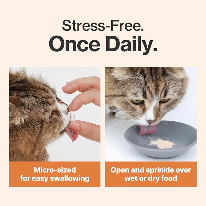 Doctor By Cat Enzyme Swift Cat Digestive Enzyme Supplement Vomiting Diarrhea, Loss of Appetite, Hairball with Pancreatine, Papain, Bromelain, Micro-Size for Easy Swallowing, 60 Sprinkle Capsules