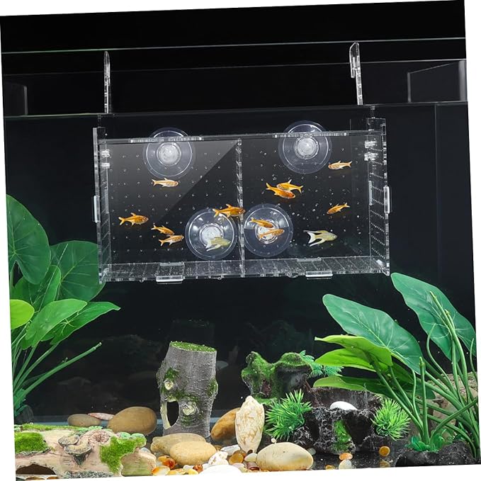 Fish Breeding Box for Aquarium Fish Tank Acclimation Box Transparent Incubator