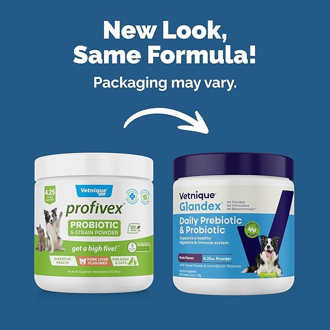 Vetnique Glandex Daily Probiotics for Dogs with Prebiotics to Support Gut Health with Fiber and Digestive Enzymes, Dog Probiotic Powder (4.25oz Powder, Pork Powder)