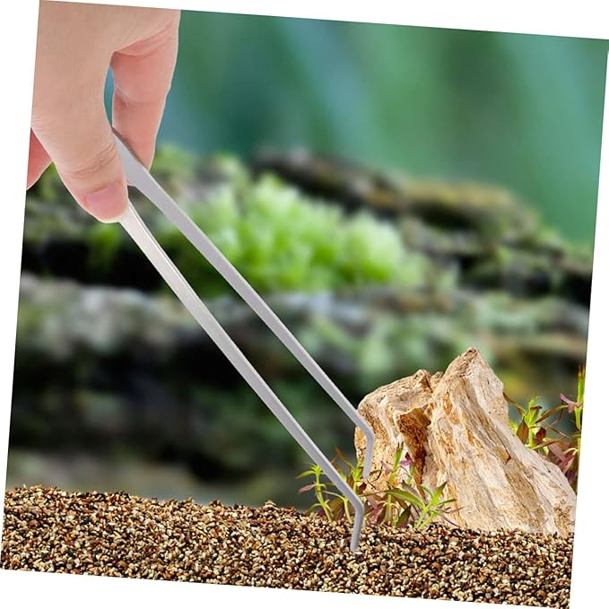BESPORTBLE 2pcs Stainless Steel Aquarium Plants Tweezers Straight Curved Tongs for Fish Tank Maintenance Trimming Tools for Aquatic Plants Care