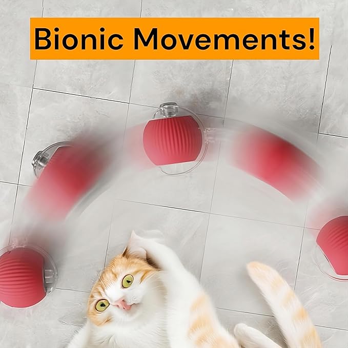 Interactive Electric Automatic Rolling Moving Rechargeable Self Play Stimulation Toy,Smart Pet Chase with Speedy Tail Rope for Bored Indoor Cats (Blue)