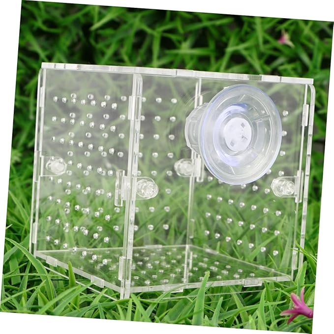 BESPORTBLE Acrylic Fish Breeding Box Live Fish Isolation Tank Breeding Hatching Box for Aquarium Round Hole Suction Cup