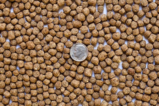 America's Best Koi Food 32% Premium Protein Floating Pond Pellets for Large Koi Pond Freshwater Fish 20 lb Bag