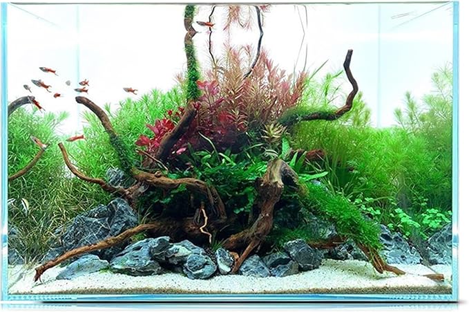 Ultra Clear 4 Gallon Rimless Low Lron Aquarium Tank, 10" L × 10" W × 10" H (25cm x 25cm x 25cm) 1/5 inch Thickness Ultra HD Glass Fish Tank with Black Nano Foam Leveling Mat Included