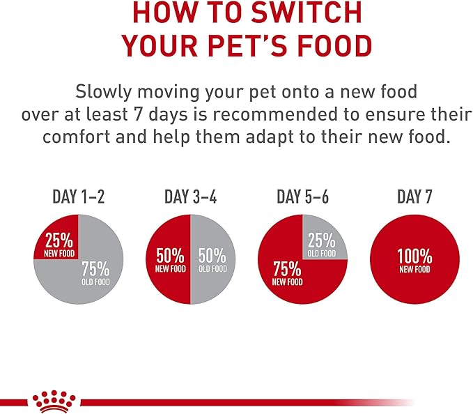 Royal Canin Breed Health Nutrition Pomeranian Adult Loaf in Sauce Dog Food, 3 oz (Pack of 24)