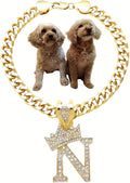 Initial Letter Cuban Chain Dog Chain Pet Chain Pet, Cat, Puppy Necklace (N, 10")