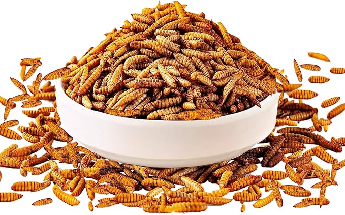 5LB Dried Black Soldier Fly Larvae Treat for Chicken, Non-GMO More Calcium Than Dried Mealworms 100% Natural High Protein Chicken Feed for Wild Birds, Layer Hens