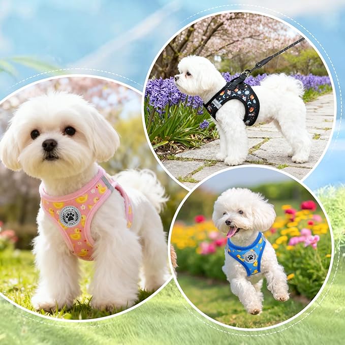 BEAUTYZOO Dog Harness Small Sized and Leash Set, Step-in Soft Padded Mesh Puppy Vest, Reflective Dog Harness No Pull No Choke, Breathable Easy Walking Vest Harnesses for Girl Boy Pets,Pink Ducks S